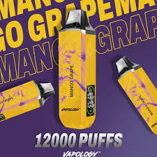 Vapology Bar Disposable 12000 Puffs | 5% Nic Salt - Vape Infusion